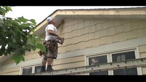 LP Smartside siding experts in Chatham