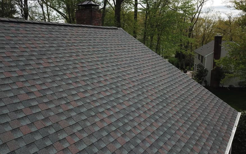 Asphalt Shingle Roof Contractor